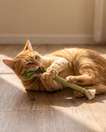 Catnip Celery Chew Sticks for Cats, in use at home