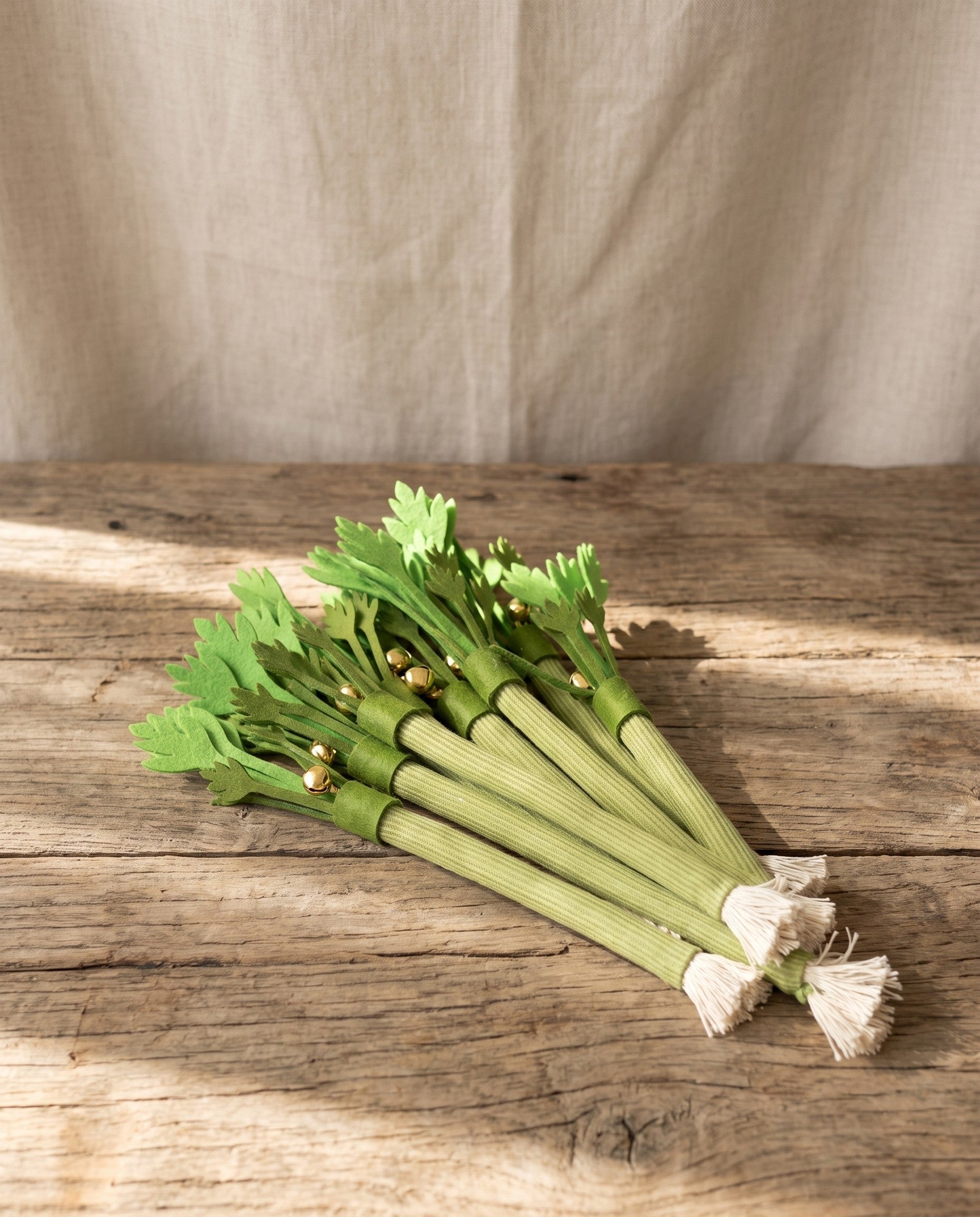 Catnip Celery Chew Sticks for Cats, styled in a home setting