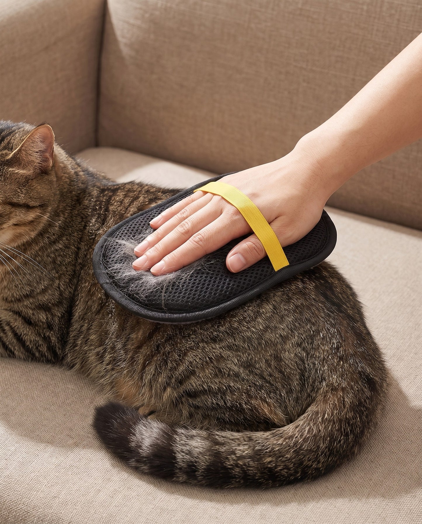 Double-Sided Grooming Mitt, in use at home