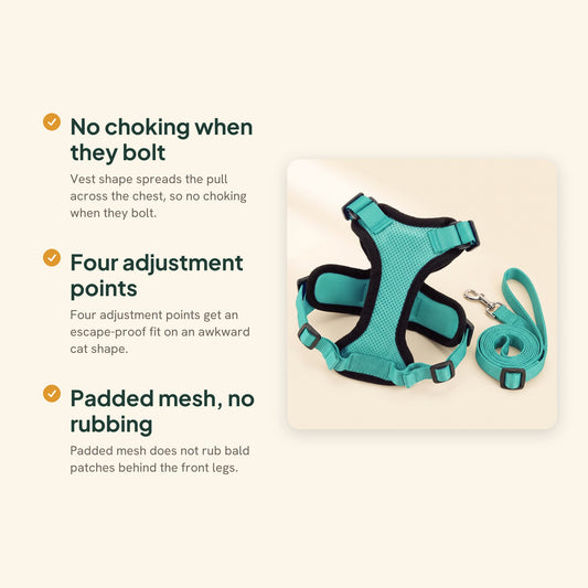 No-Choke Cat Harness and Leash Set, key benefits