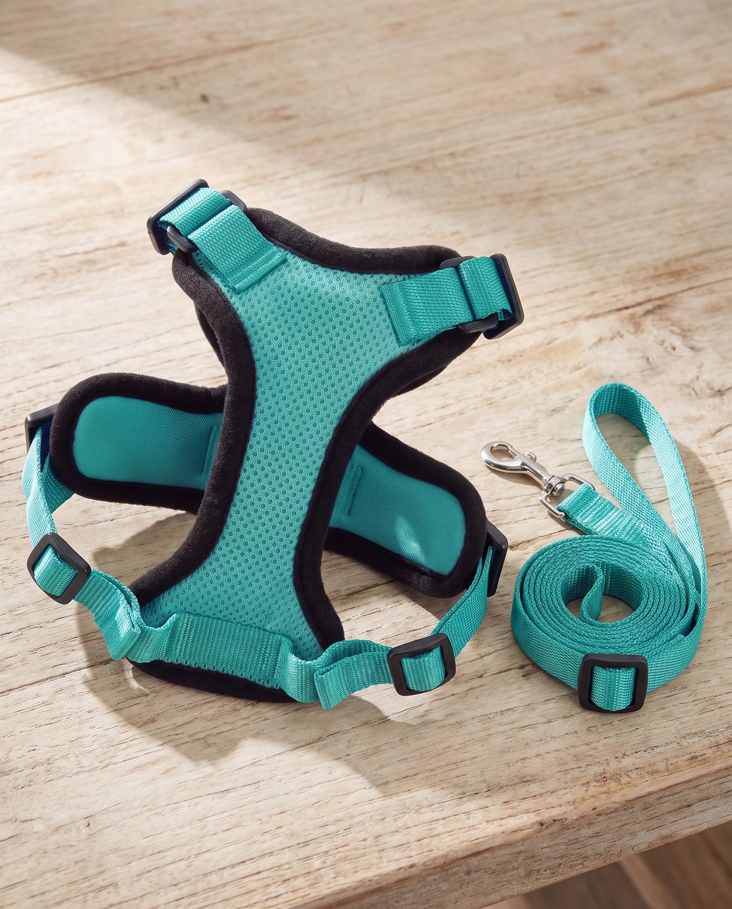 No-Choke Cat Harness and Leash Set, styled in a home setting