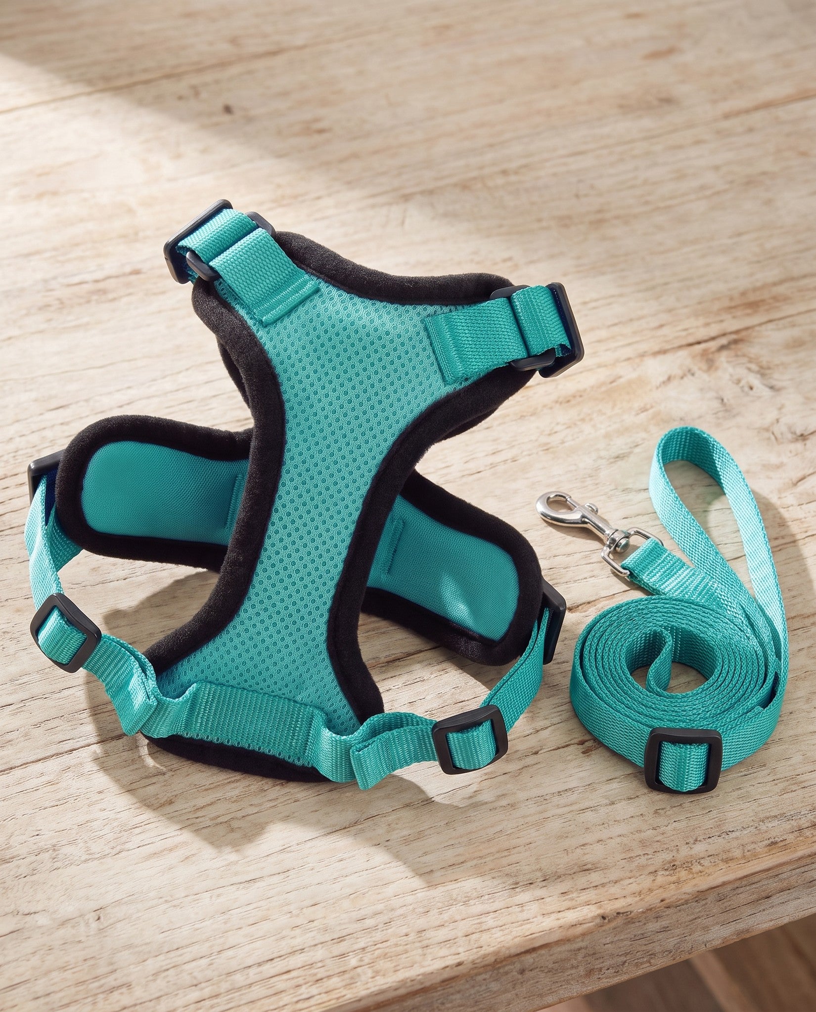 No-Choke Cat Harness and Leash Set, styled in a home setting