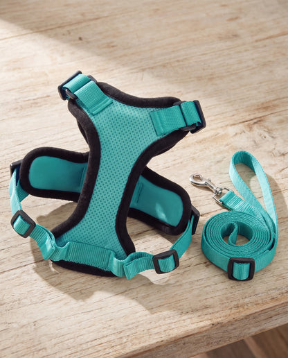 No-Choke Cat Harness and Leash Set, styled in a home setting