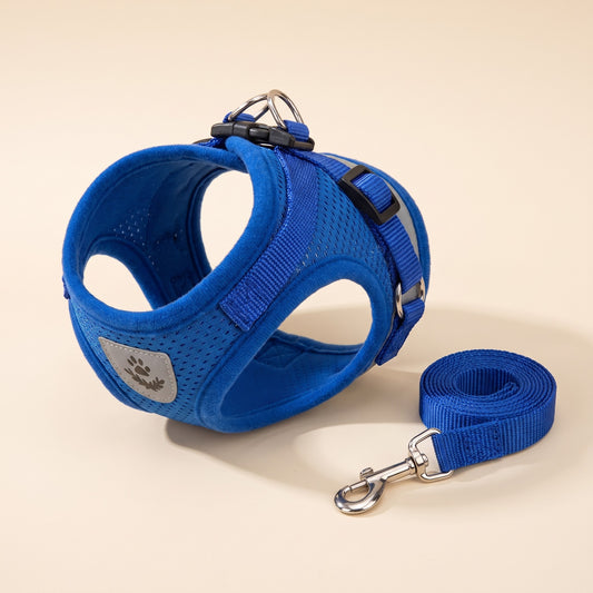 Reflective Mesh Harness and Leash Set