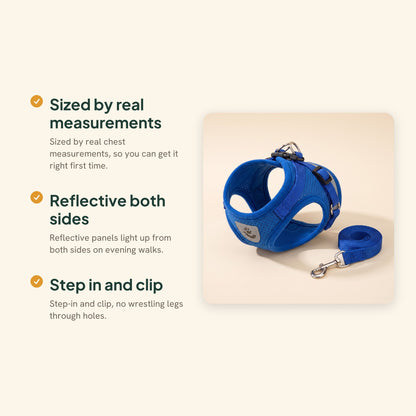Reflective Mesh Harness and Leash Set, key benefits