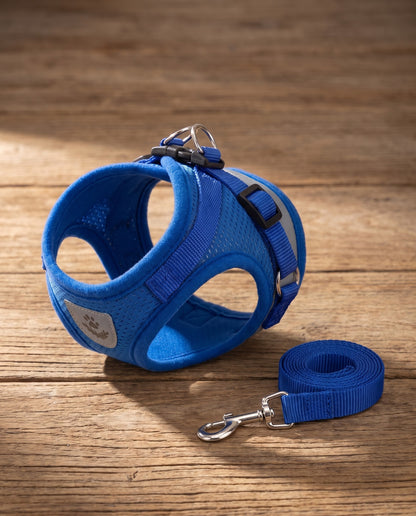 Reflective Mesh Harness and Leash Set, styled in a home setting
