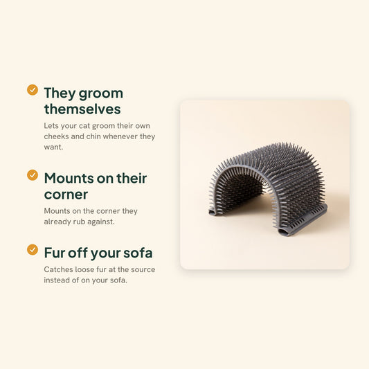 Corner Self-Groomer Brush for Cats, key benefits