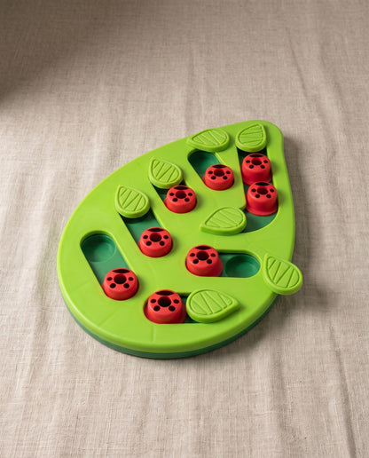 Cat Treat Puzzle Toy, Adjustable Difficulty, styled in a home setting