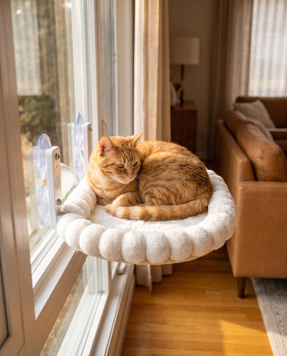 Window Cat Perch with Plush Rim, in use at home