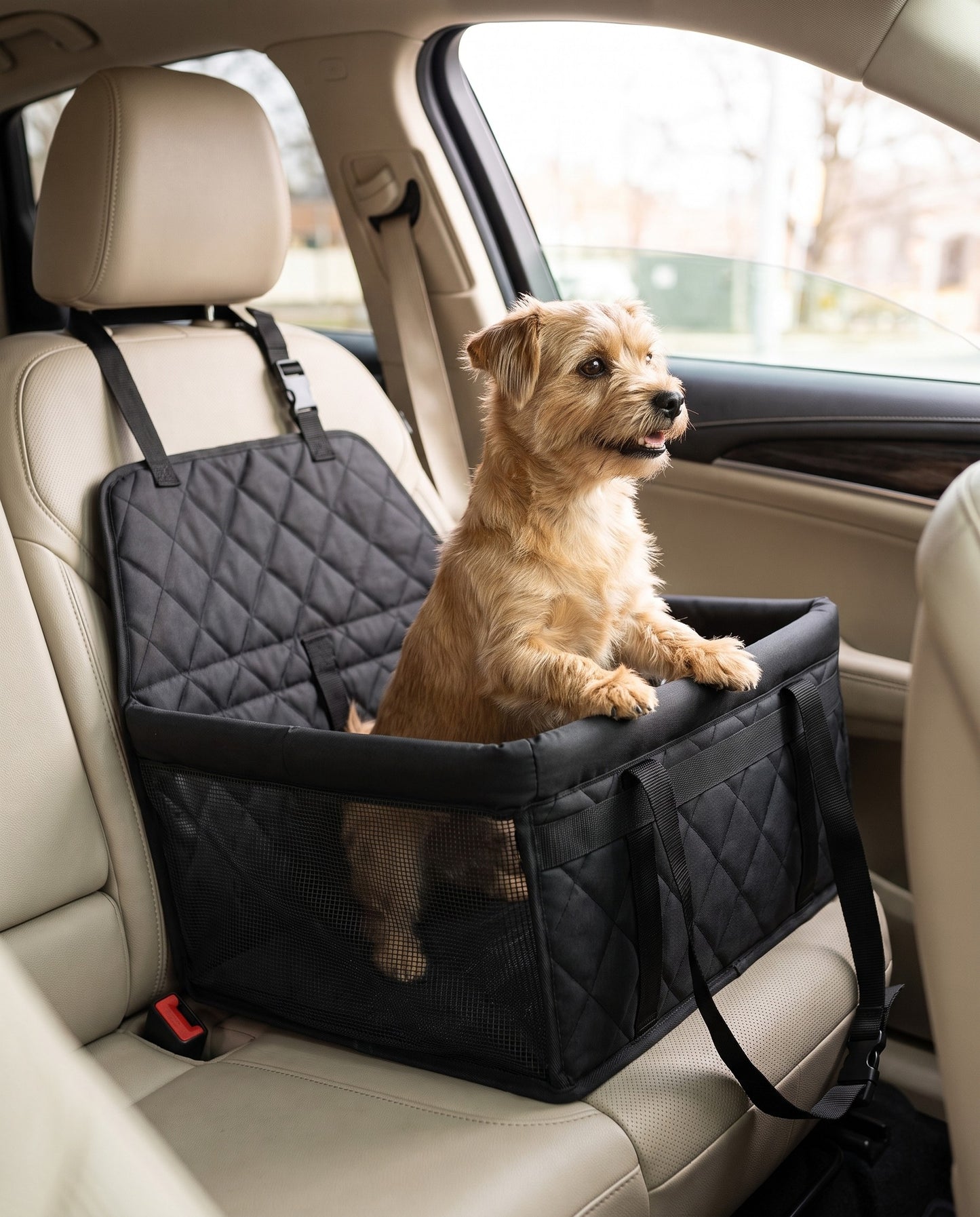 Quilted Booster Car Seat for Small Dogs, in use at home