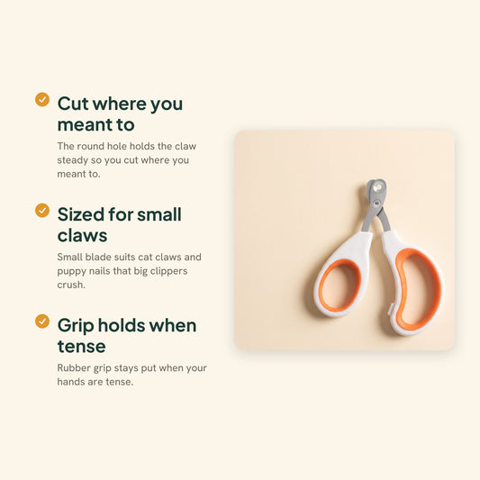 Circular-Hole Claw Scissors for Cats and Small Dogs, key benefits