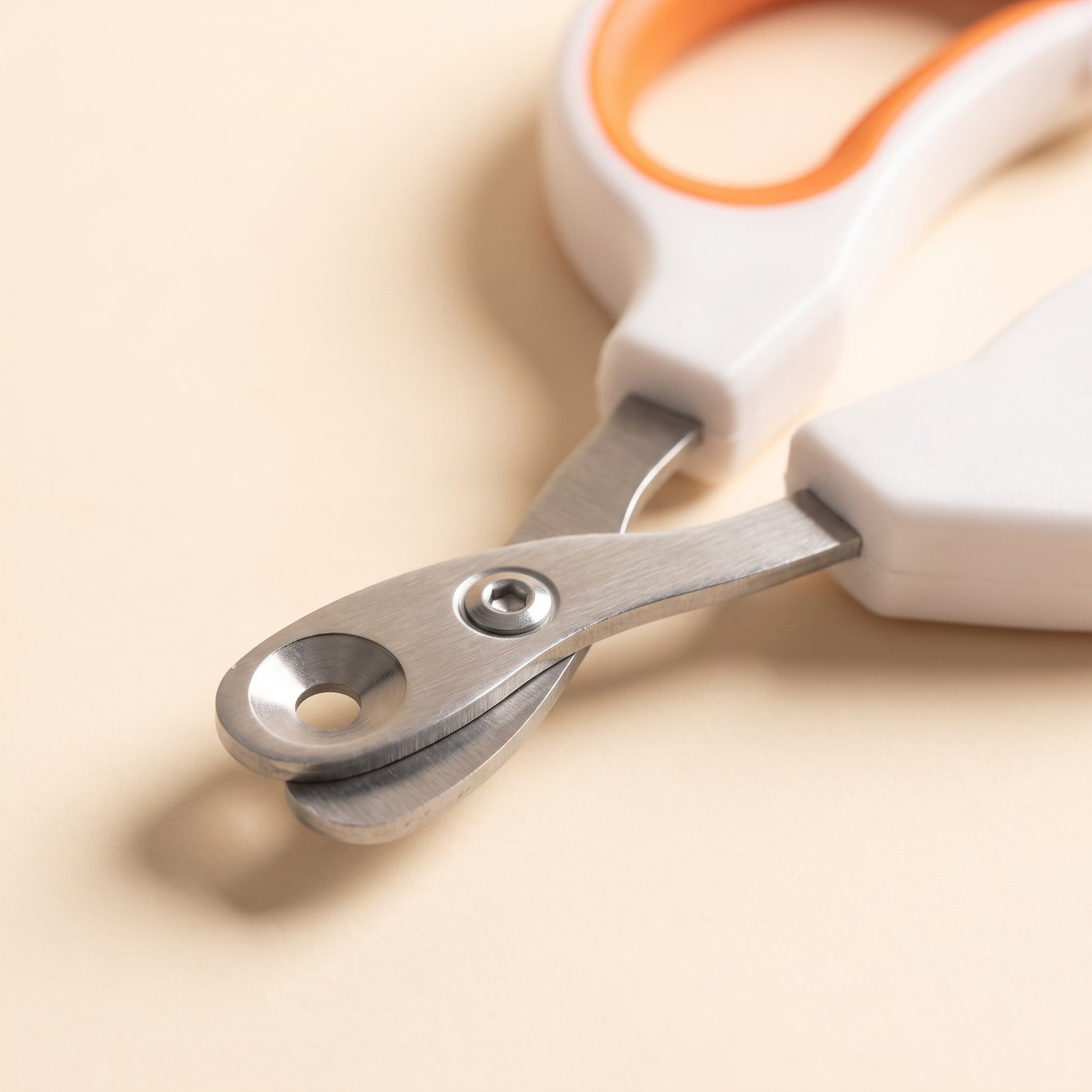 Circular-Hole Claw Scissors for Cats and Small Dogs, close-up detail