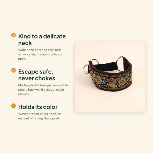 Wide Martingale Collar for Sighthounds, key benefits