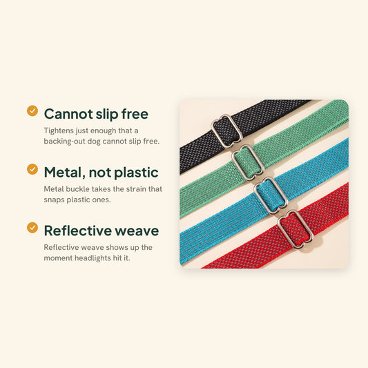 Reflective Martingale Collar with Metal Buckle, key benefits