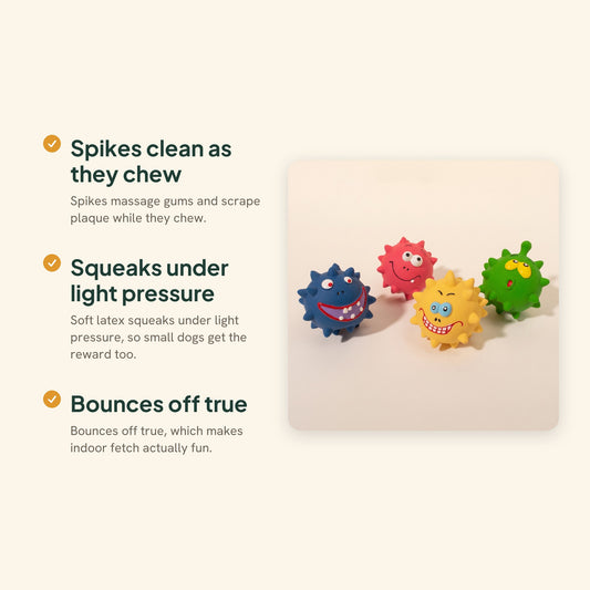 Spiky Squeaky Ball for Dogs, key benefits