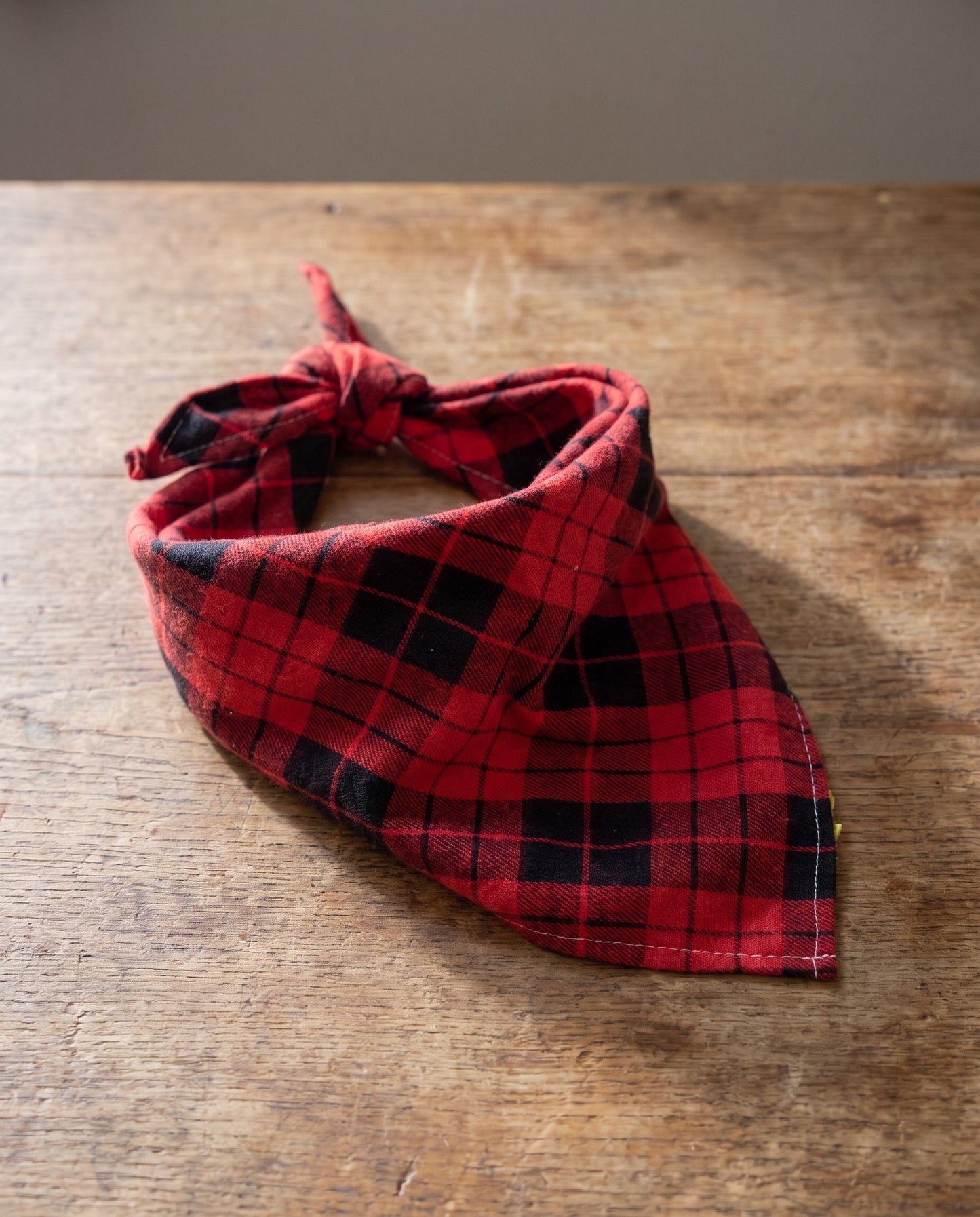 Cotton Plaid Dog Bandana, styled in a home setting