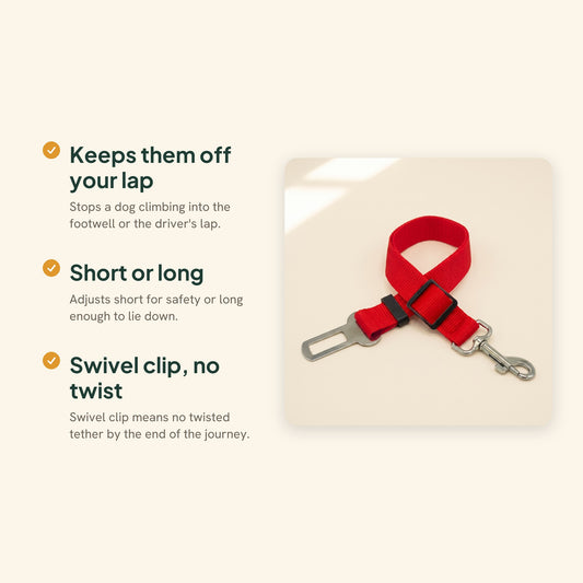 Dog Car Seat Belt Tether, key benefits