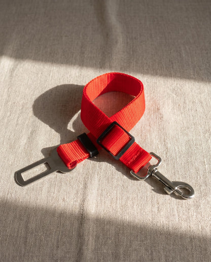 Dog Car Seat Belt Tether, styled in a home setting
