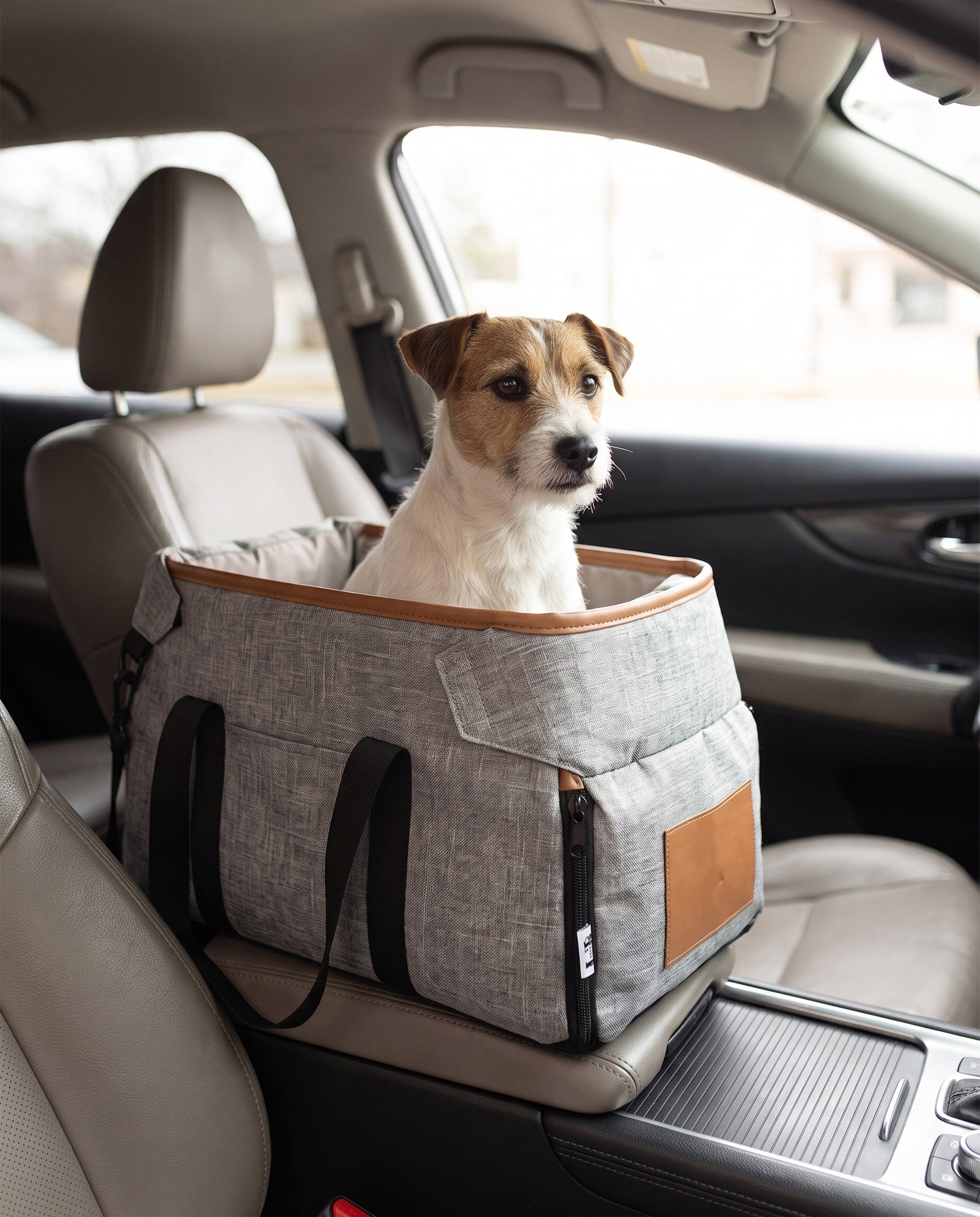 Center Console Dog Booster Seat, in use at home