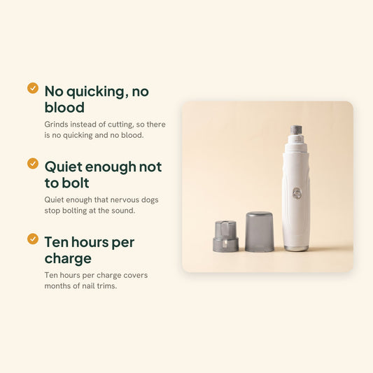 Quiet Rechargeable Nail Grinder, 2-Speed, key benefits