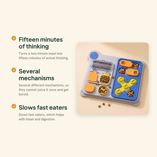 Level 2 Dog Puzzle Feeder Board, key benefits