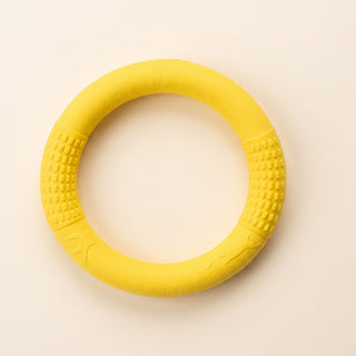 Rubber Ring Tug and Fetch Toy