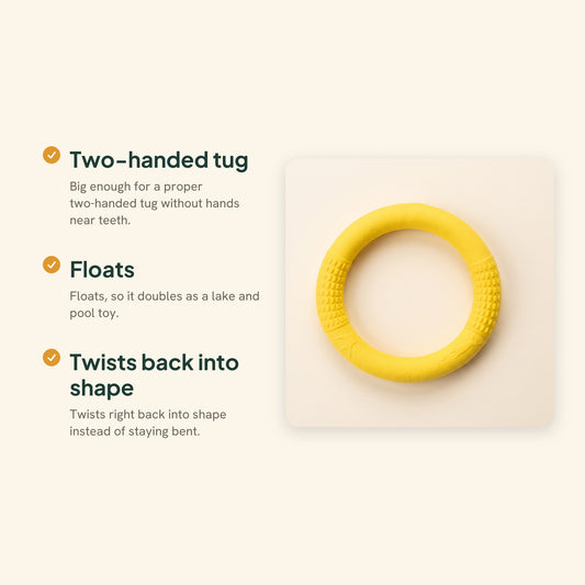 Rubber Ring Tug and Fetch Toy, key benefits