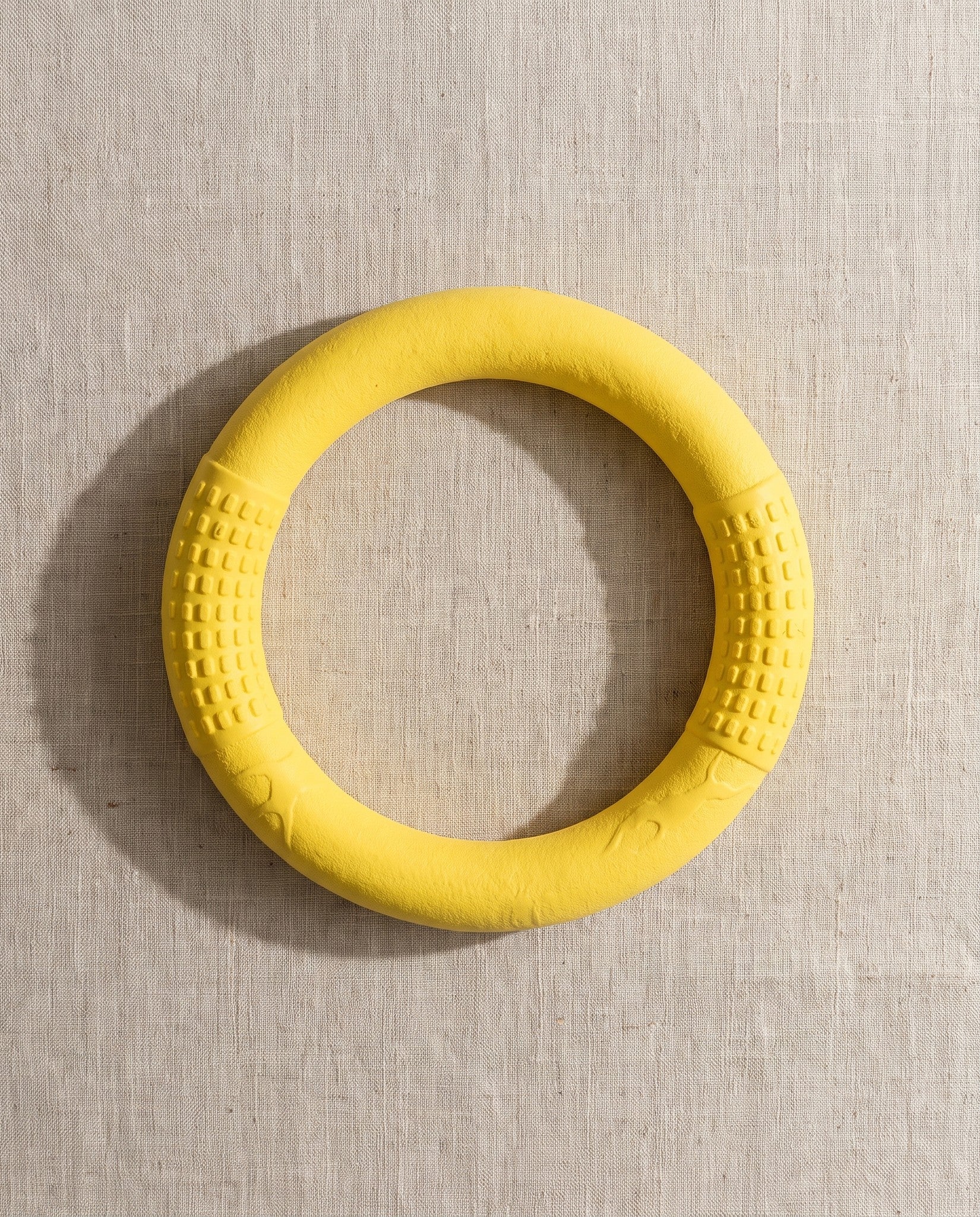Rubber Ring Tug and Fetch Toy, styled in a home setting