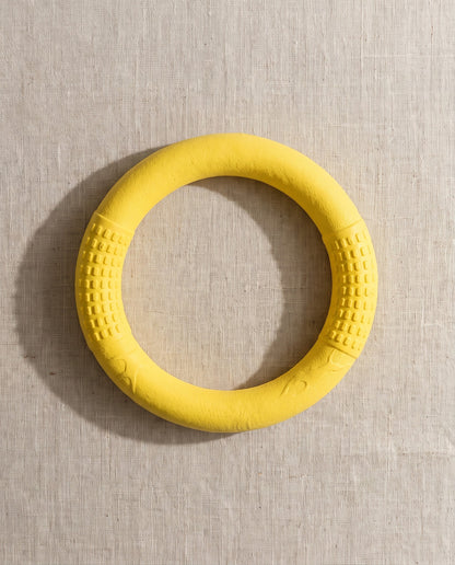 Rubber Ring Tug and Fetch Toy, styled in a home setting