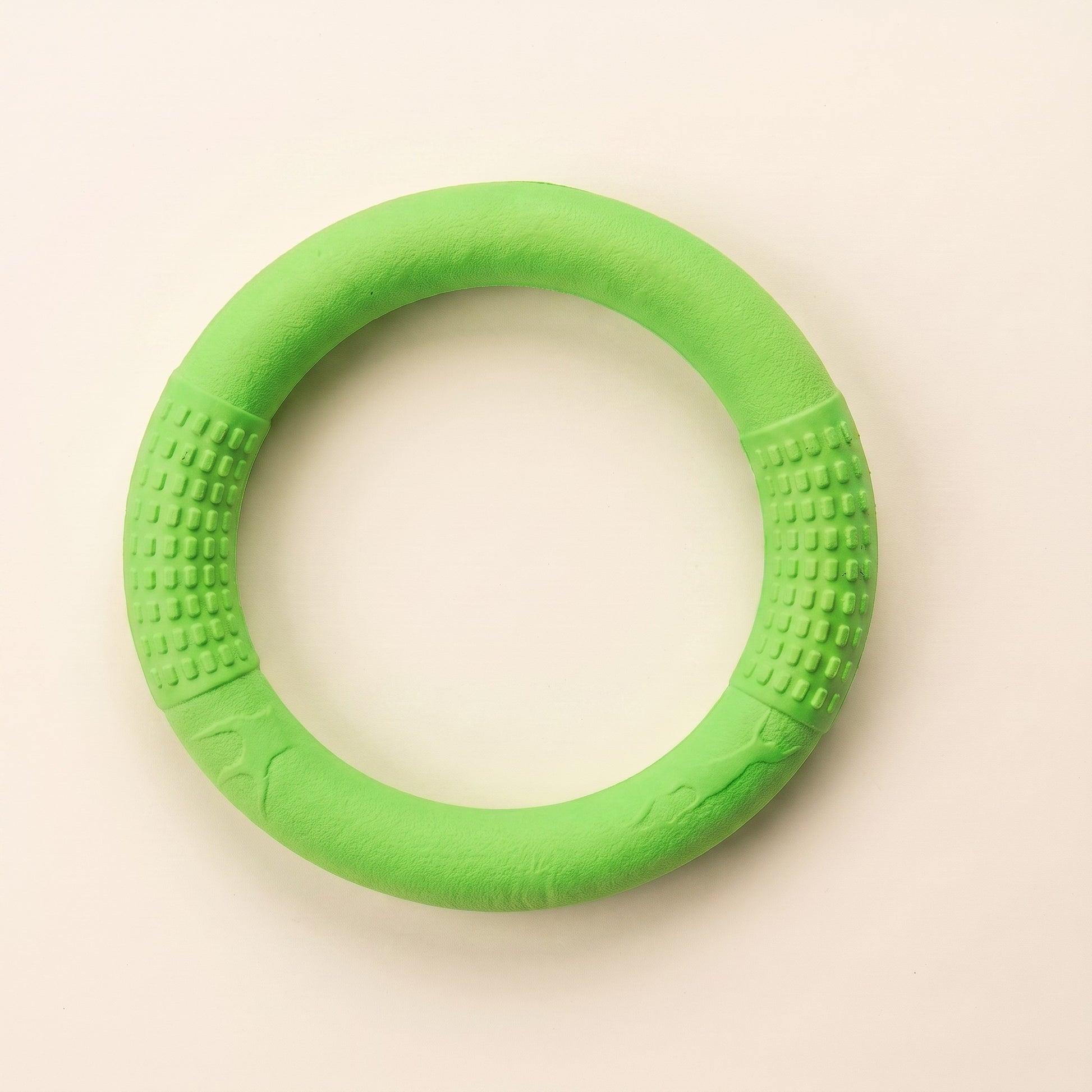 Rubber Ring Tug and Fetch Toy in green