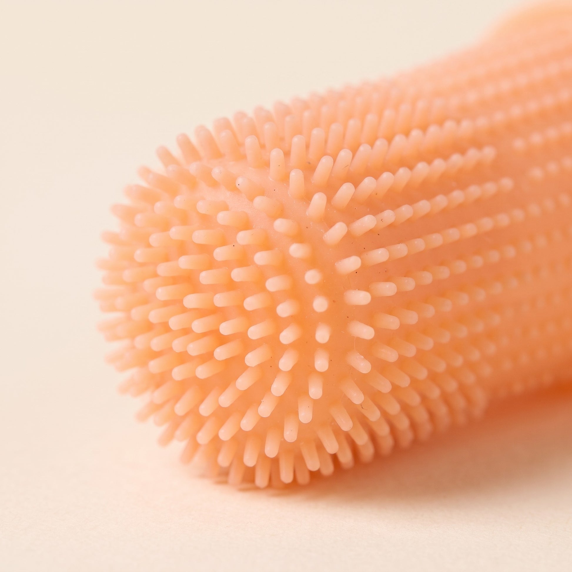 Silicone Finger Toothbrush with Case, close-up detail