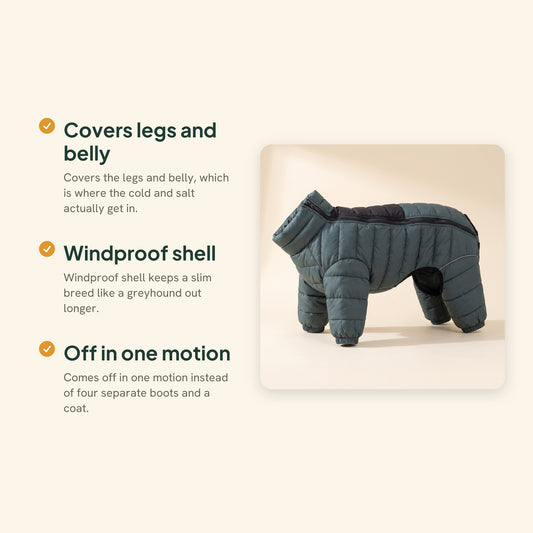 Padded Four-Leg Winter Dog Snowsuit, key benefits