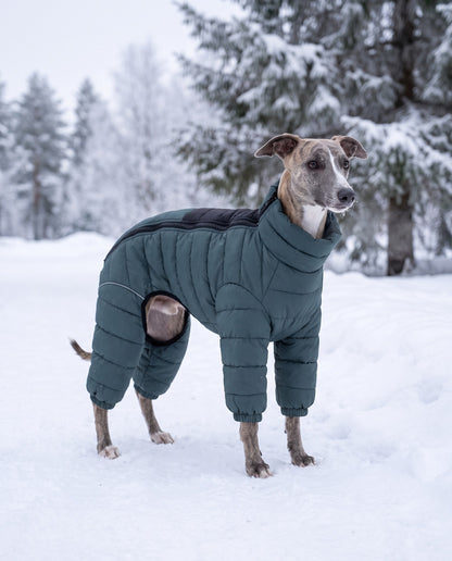 Padded Four-Leg Winter Dog Snowsuit, in use at home
