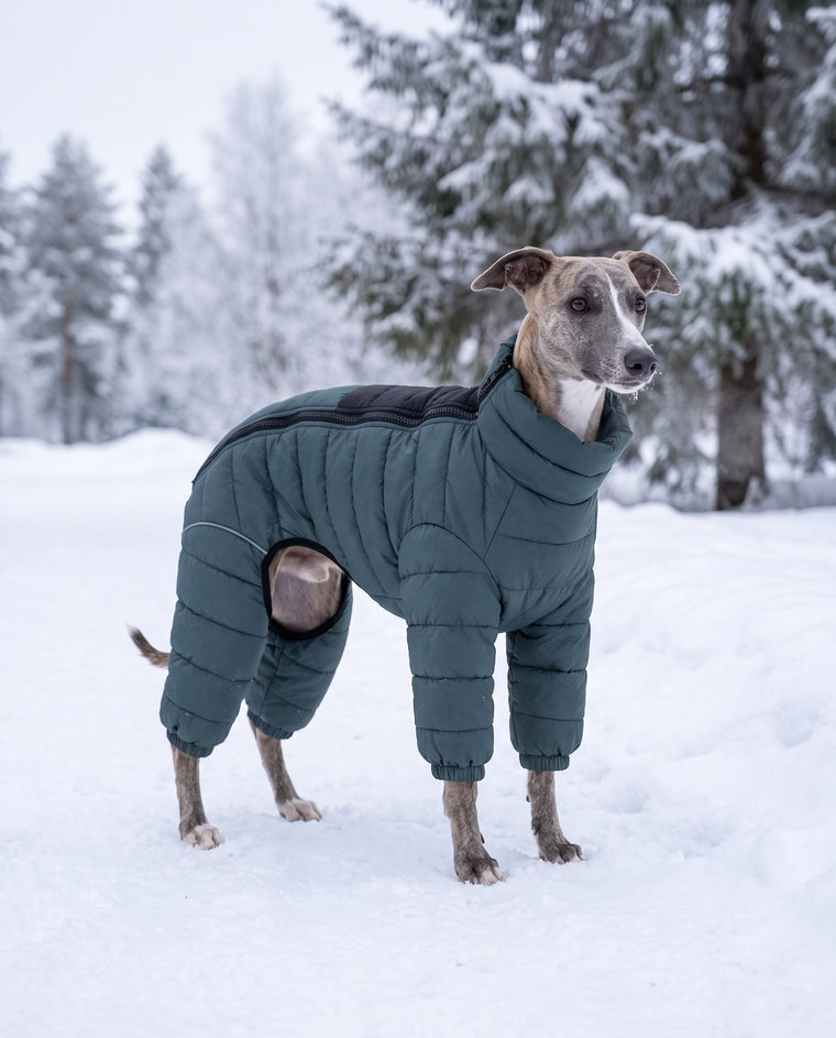 Windproof shell