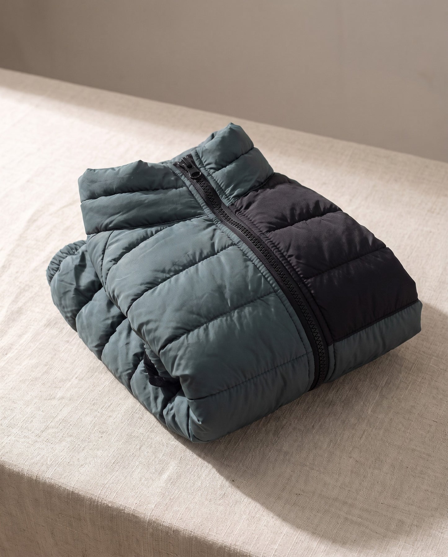 Padded Four-Leg Winter Dog Snowsuit, styled in a home setting