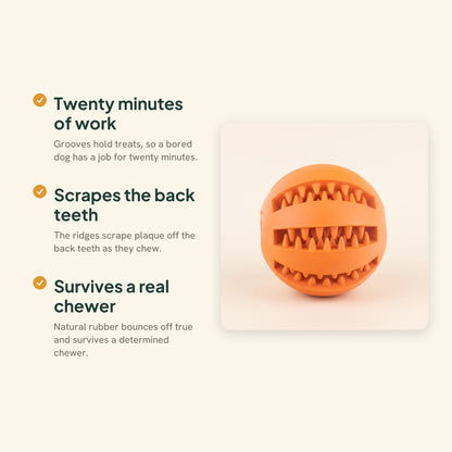 Rubber Treat Ball with Teeth-Cleaning Grooves, key benefits