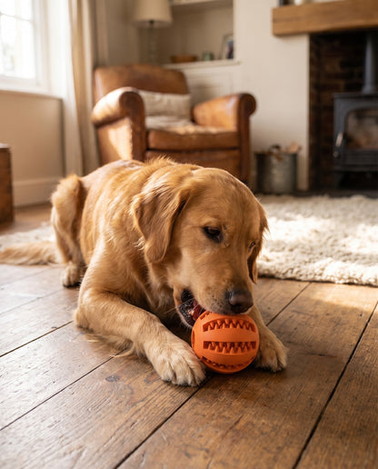 Rubber Treat Ball with Teeth-Cleaning Grooves, in use at home