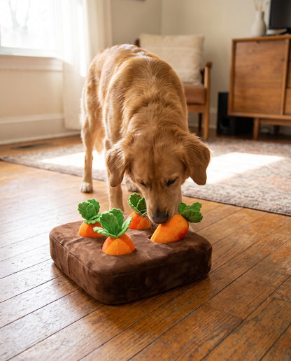 Carrot Field Snuffle Mat for Dogs, in use at home