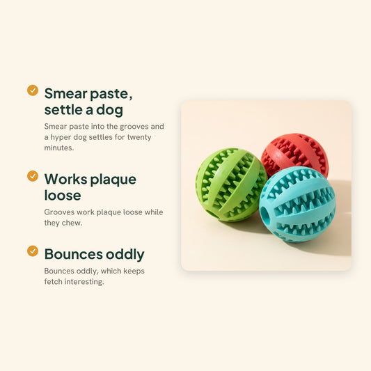 Natural Rubber Treat Dispensing Ball, key benefits