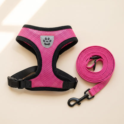 Mesh Vest Harness and Leash Set