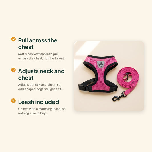 Mesh Vest Harness and Leash Set, key benefits