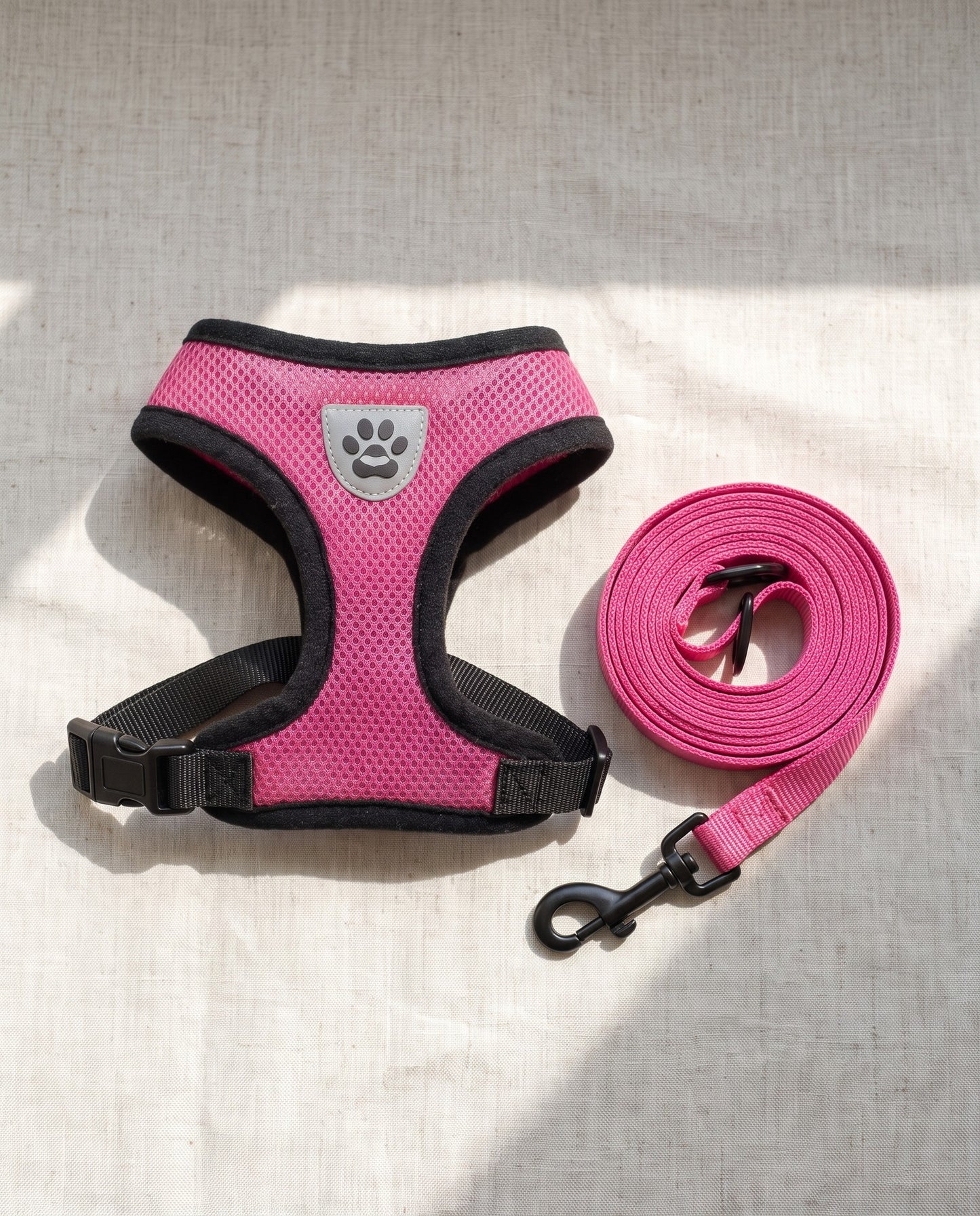 Mesh Vest Harness and Leash Set, styled in a home setting