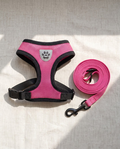 Mesh Vest Harness and Leash Set, styled in a home setting