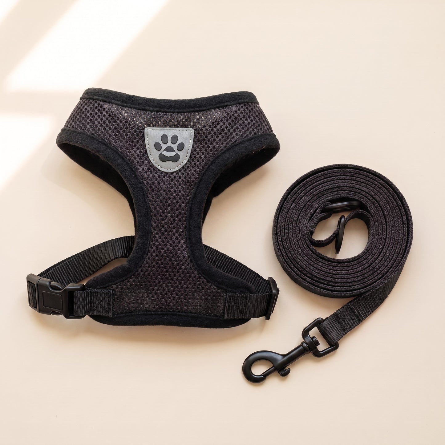 Mesh Vest Harness and Leash Set in Black