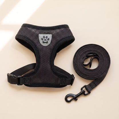 Mesh Vest Harness and Leash Set in Black