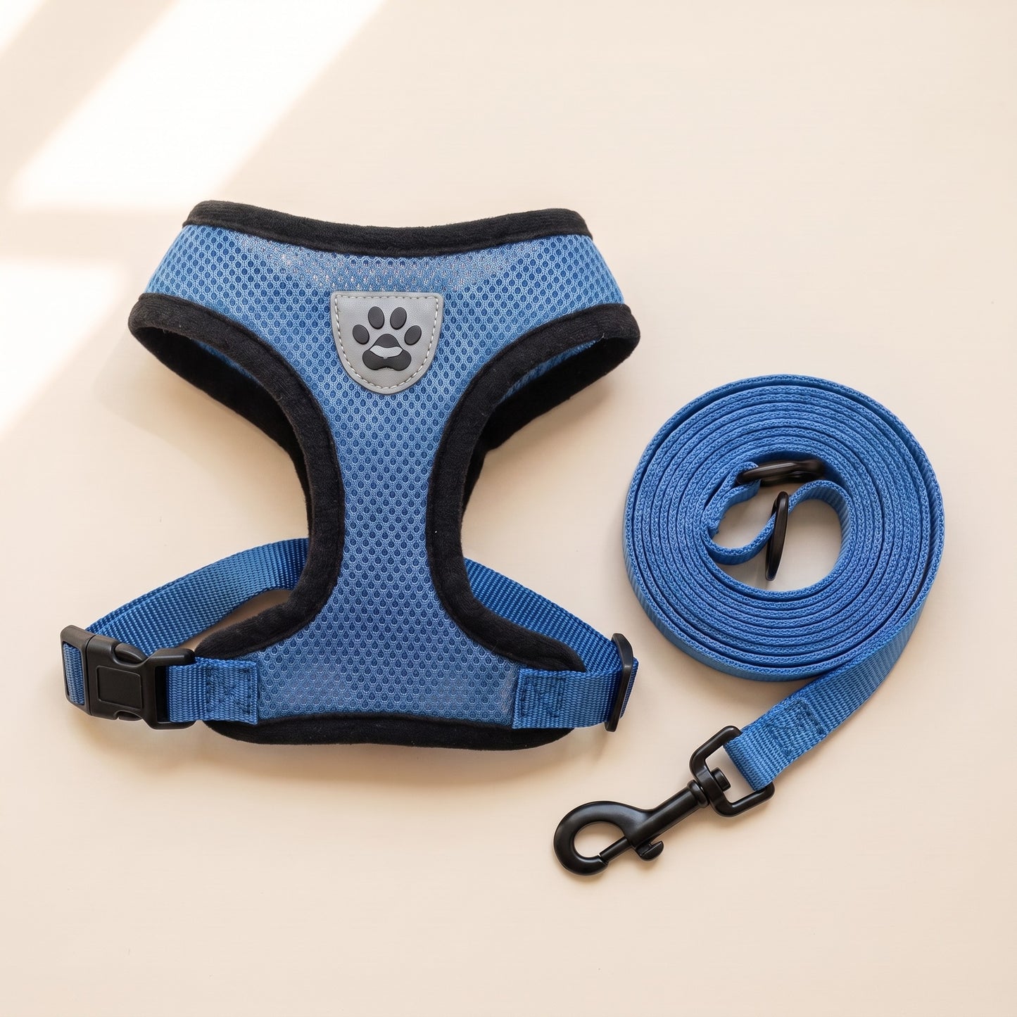 Mesh Vest Harness and Leash Set in Blue