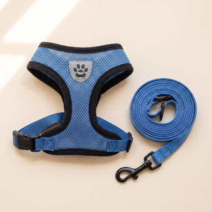 Mesh Vest Harness and Leash Set in Blue