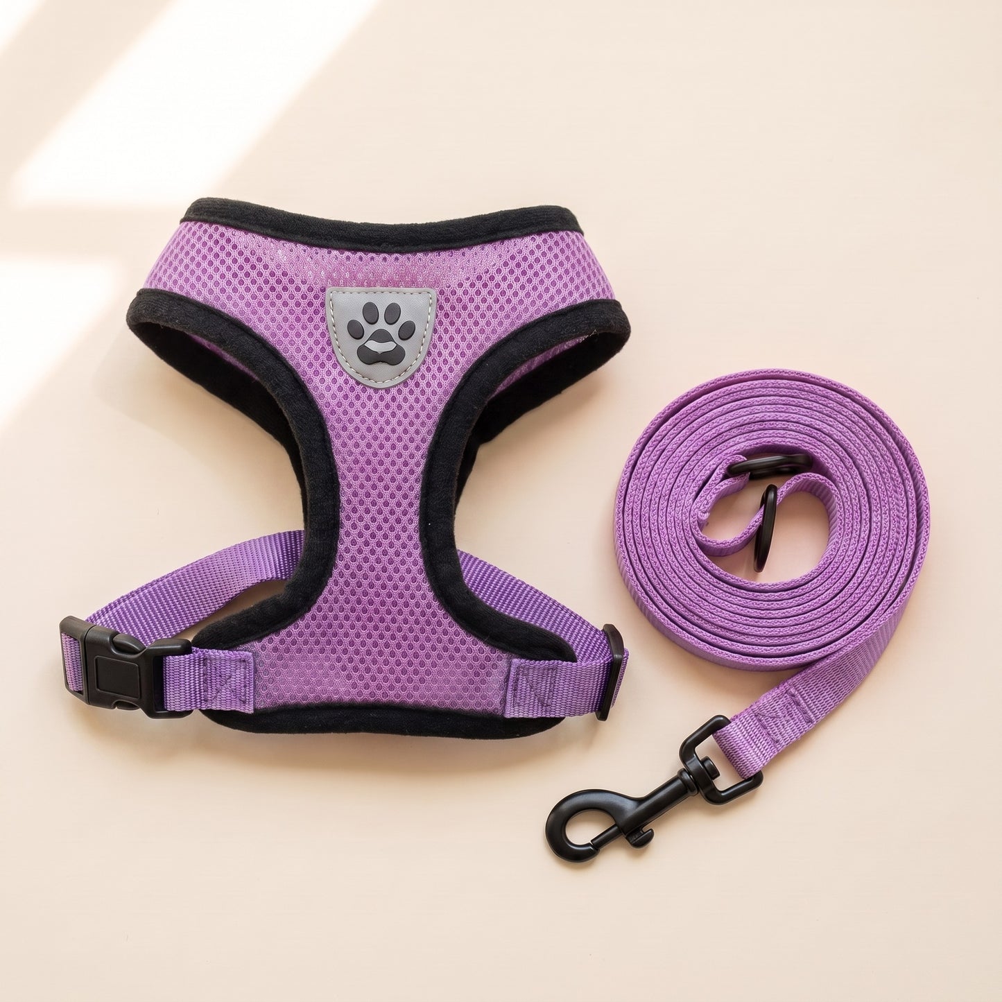 Mesh Vest Harness and Leash Set in Purple