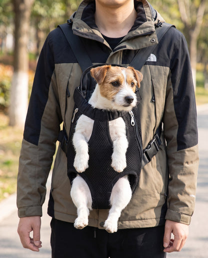 Front-Facing Pet Backpack Carrier, in use at home