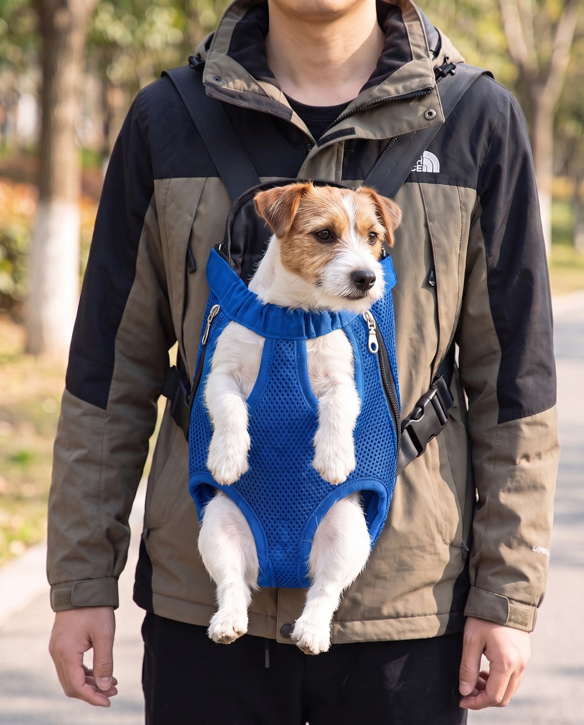 Front-Facing Backpack Carrier, Sky Blue, in use